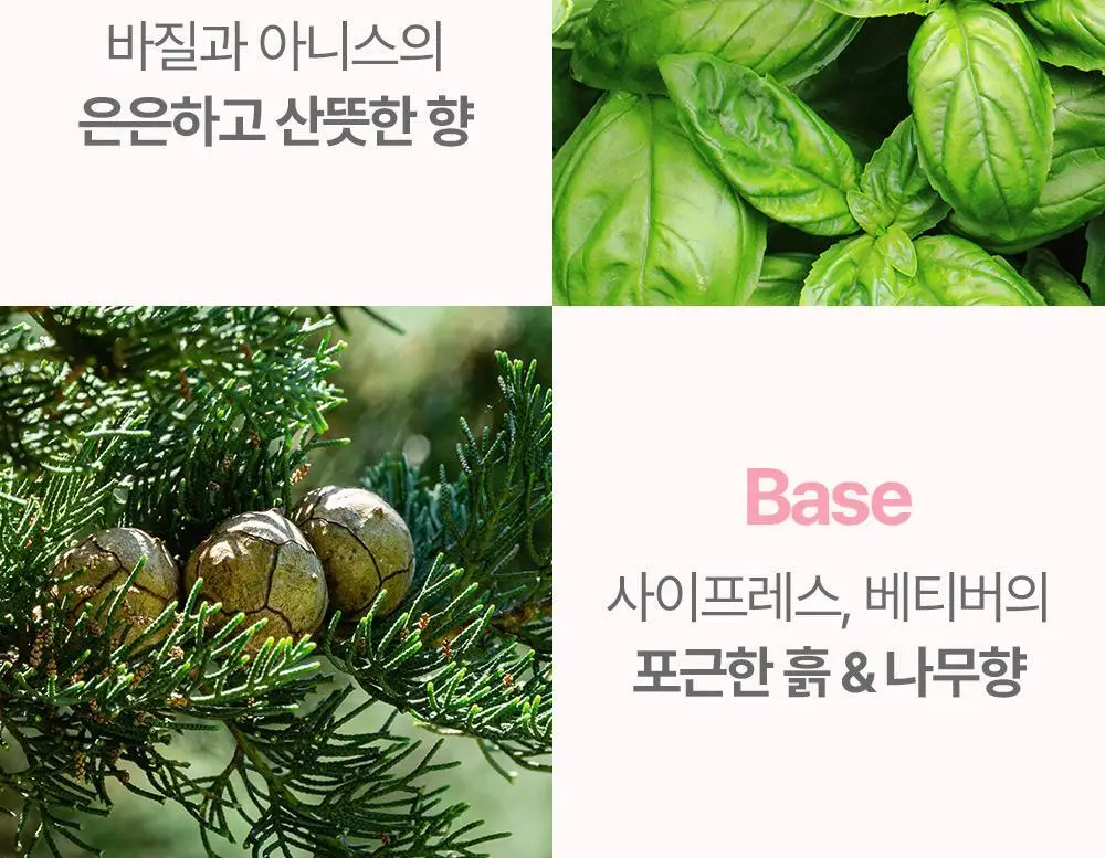 [임산부] 아토팜 매터니티 케어 스칼프 테라피 트리트먼트 220ml 상세페이지 43